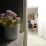 Pop&rock House